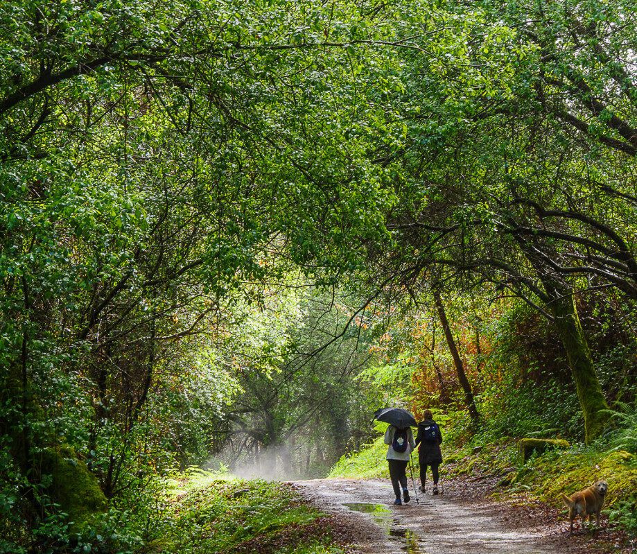 camino-santiago-con-lluvia-paraguas-chubasquero