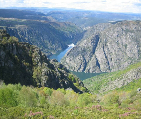 Espaços naturais essenciais no Caminho de Santiago