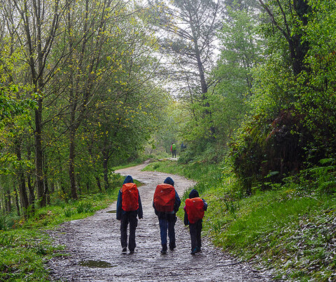 El Camino de Santiago con lluvia