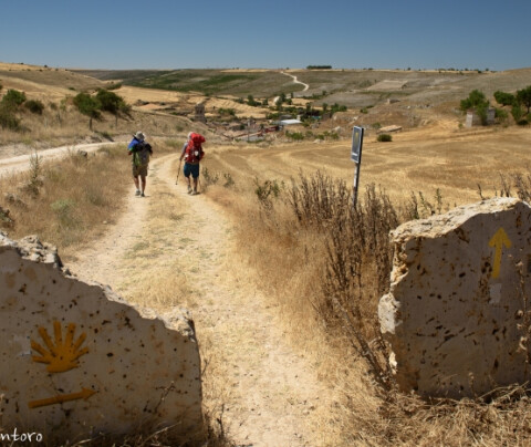 ¿Cuál es el Camino de Santiago más bonito?